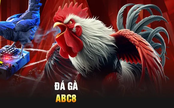 Các loại hình cá cược tại đá gà Abc8