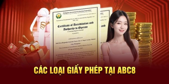 Một số giấy phép hoạt động Abc8